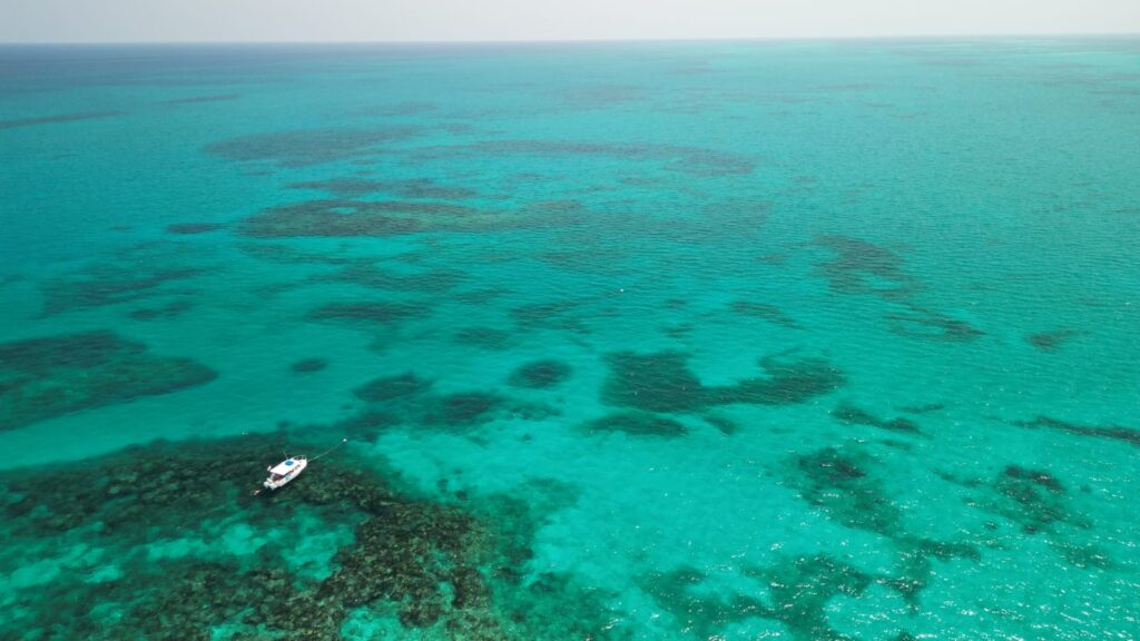 Snorkel Key Largo 1 ID on Banana reef